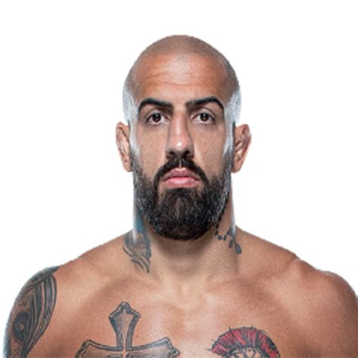Danilo Marques UFC Career Fights and Salary (Age, Family, Wife, Married, Children, Stats)
