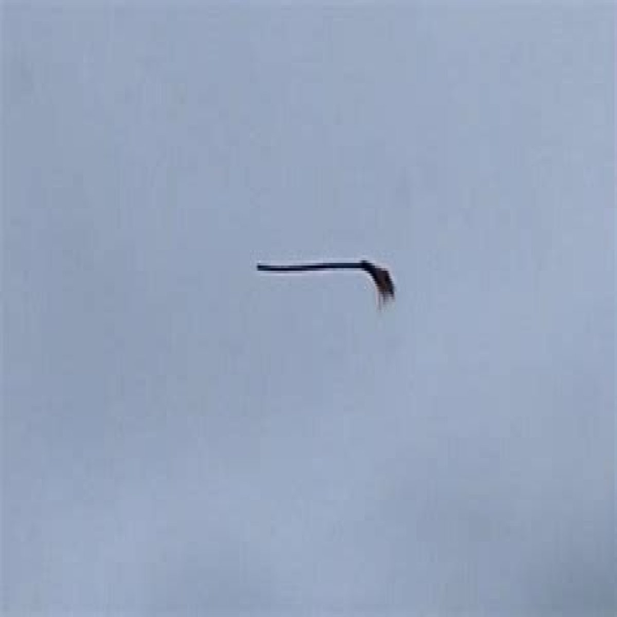 Disturbing video shows floating broom in the middle of the air and the internet is losing its collective mind