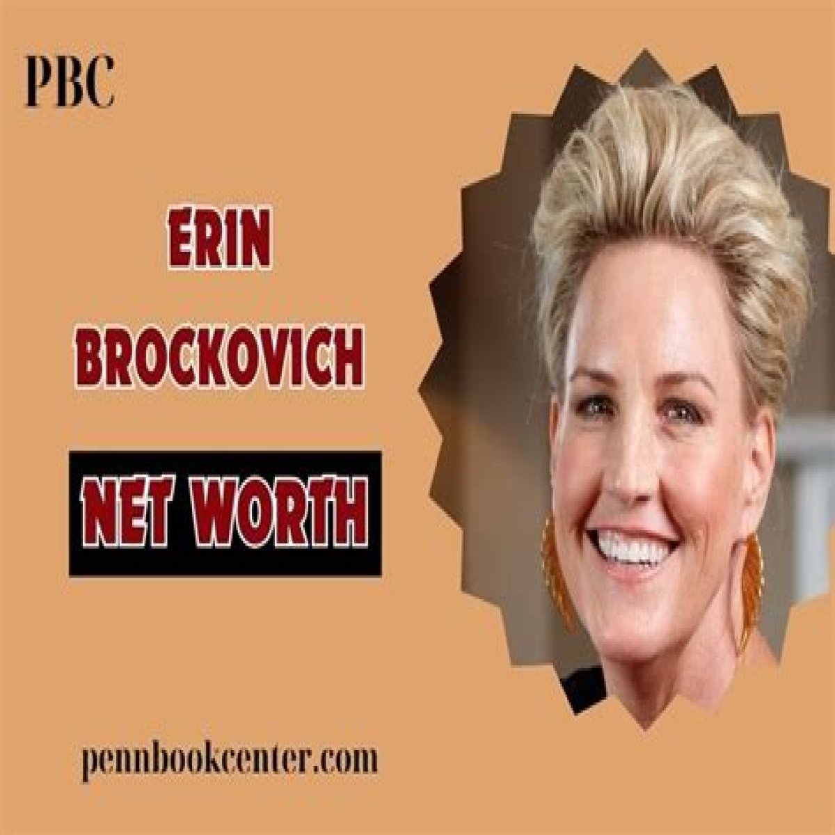 Erin Brockovich Net Worth, Income, Salary, Earnings, Biography, How much money make?