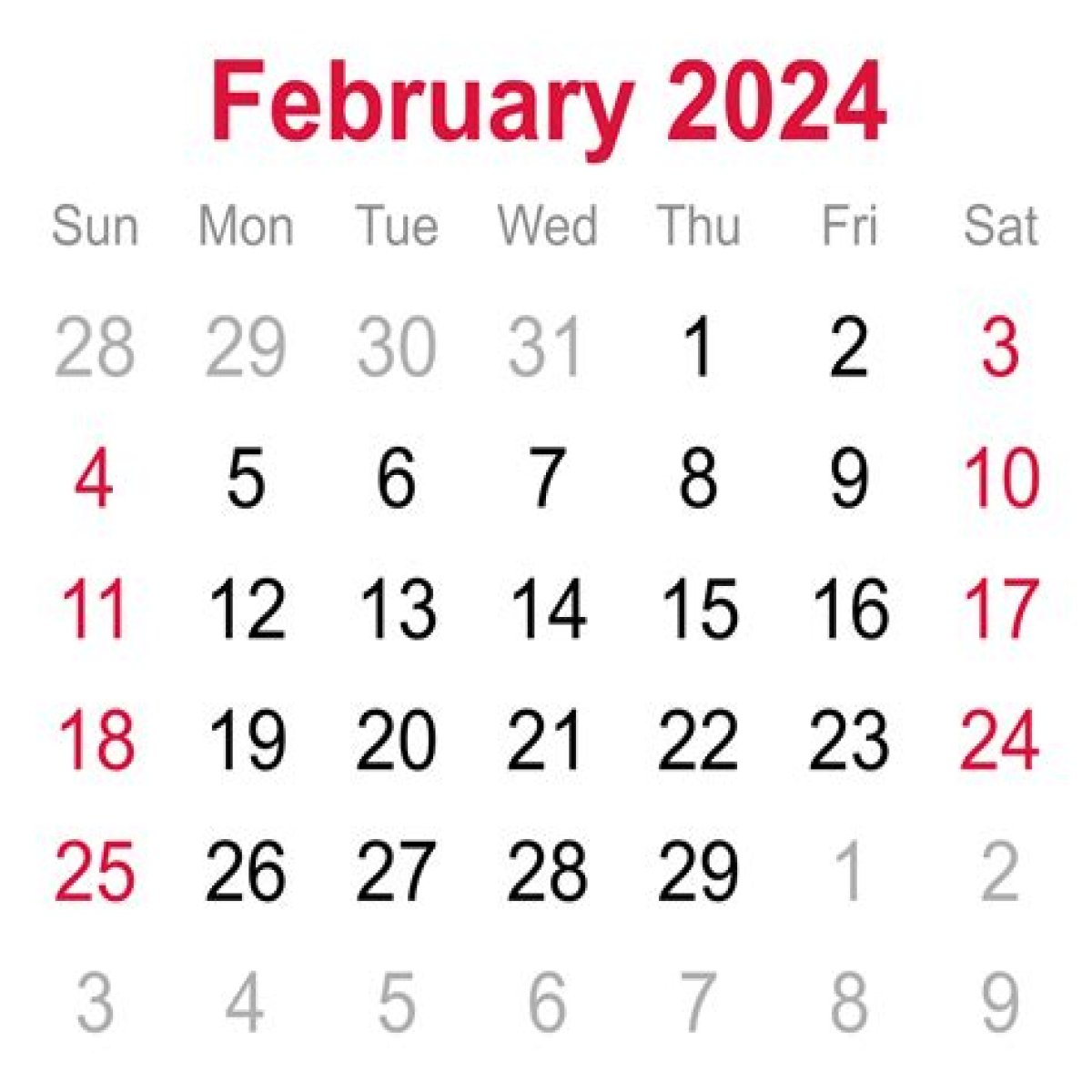 Exclusive 4 FOR LOW PRICE in February 2024