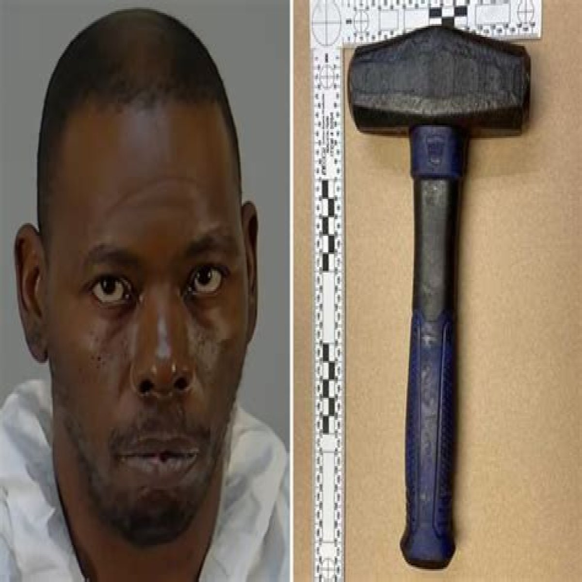 Horrifying details emerge after husband 'BLUDGEONS wife & stepson to death with hammer before raping witness in trailer'