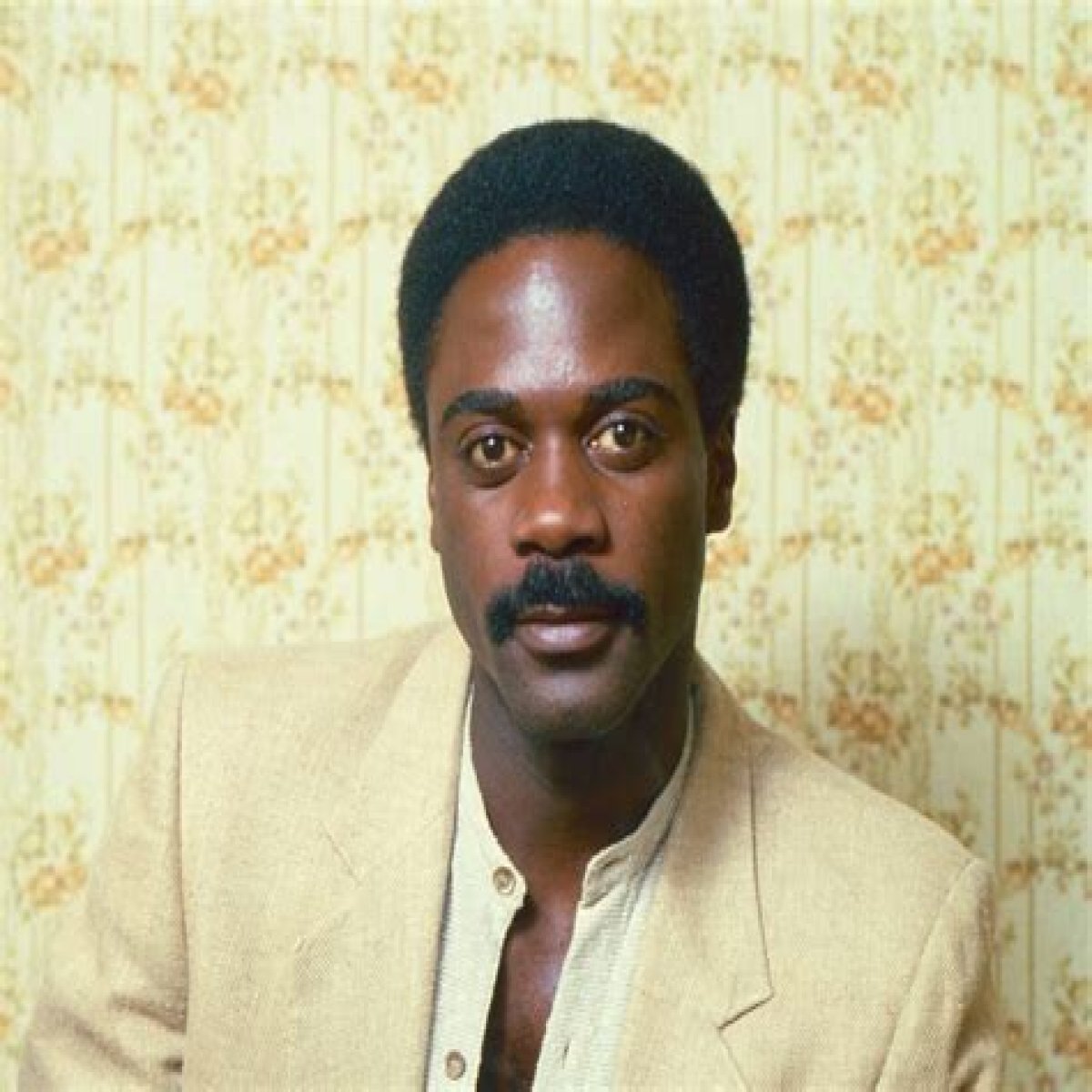 
How Much Money Does Howard Rollins Make? Latest Income Salary
