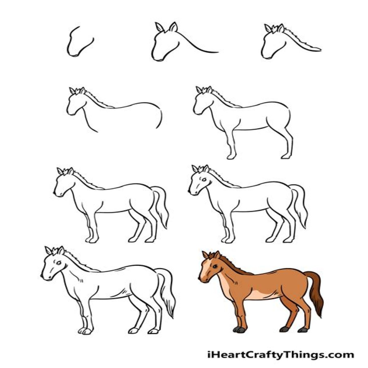 How to Draw a Horse