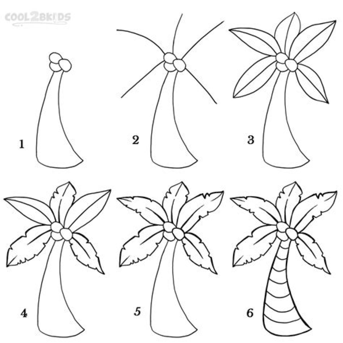 How to Draw a Palm Tree