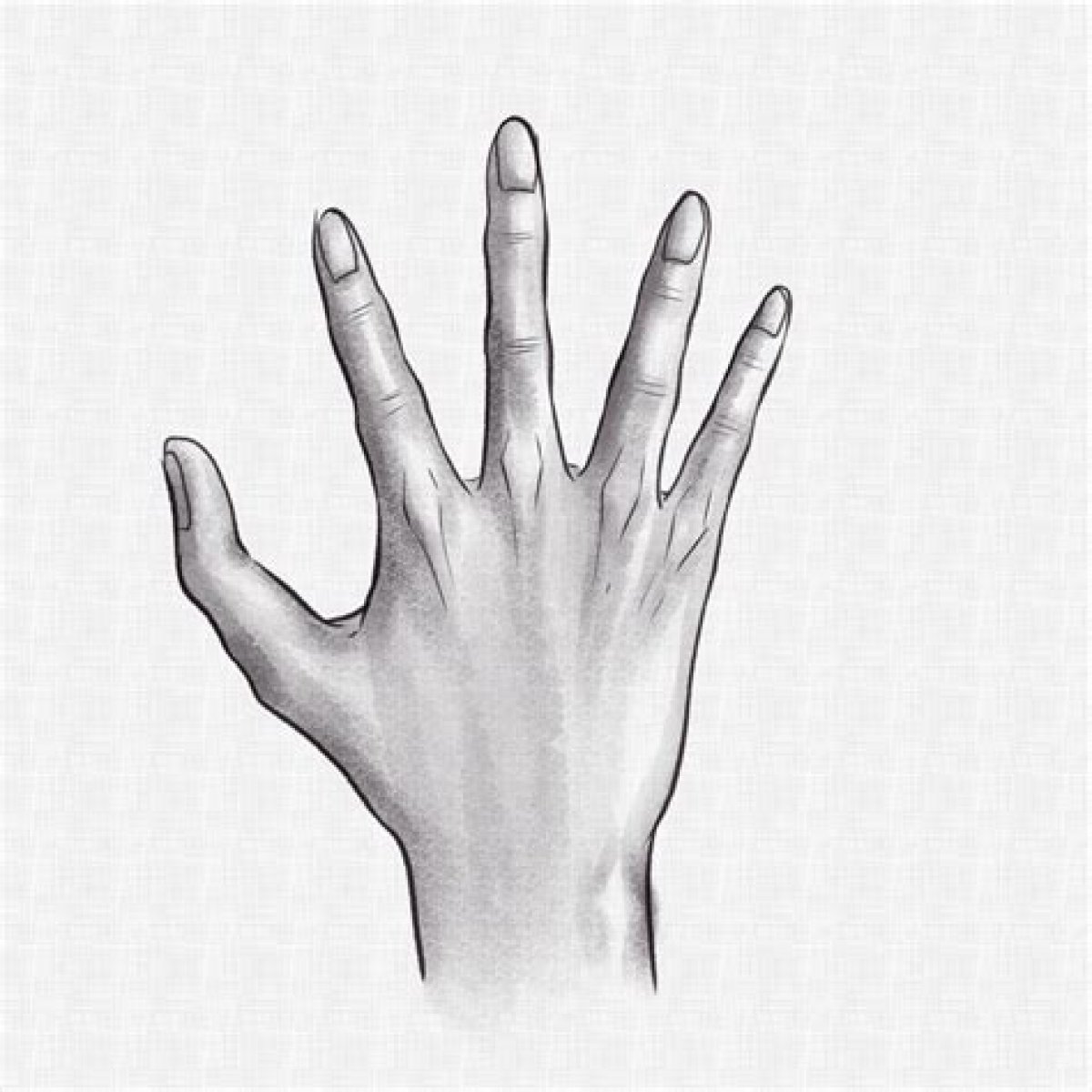 How to Draw Hands – 8 Steps for Realistic Hand Drawing