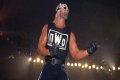 Hulk Hogan Was at His Meanest When He Vandalized the WCW World Heavyweight
Championship