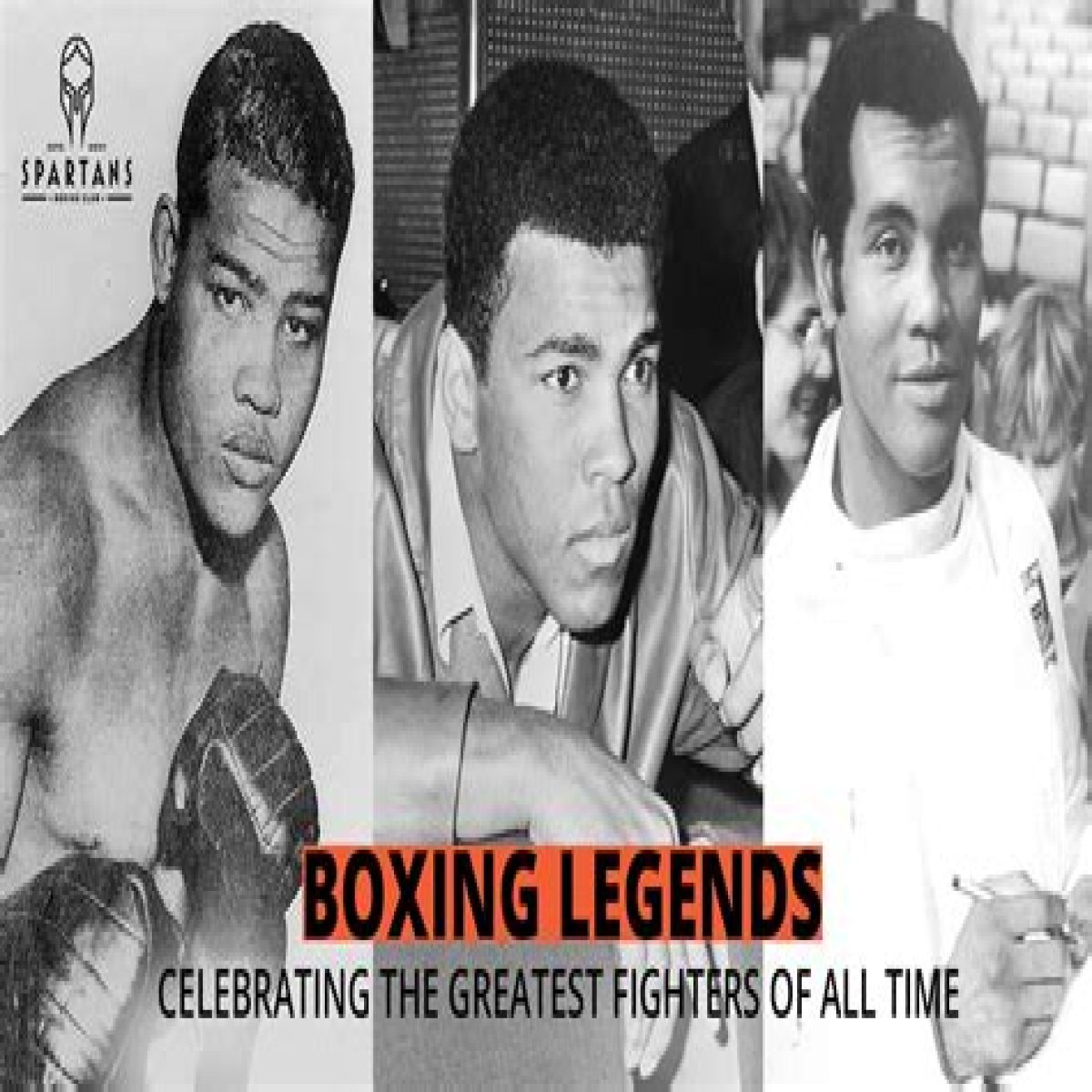 Is Rocky Dead? The Truth About the Boxing Legend’s Fate