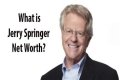Jerry Springer Net Worth, Age, Height, Bio, Birthday, Wiki!