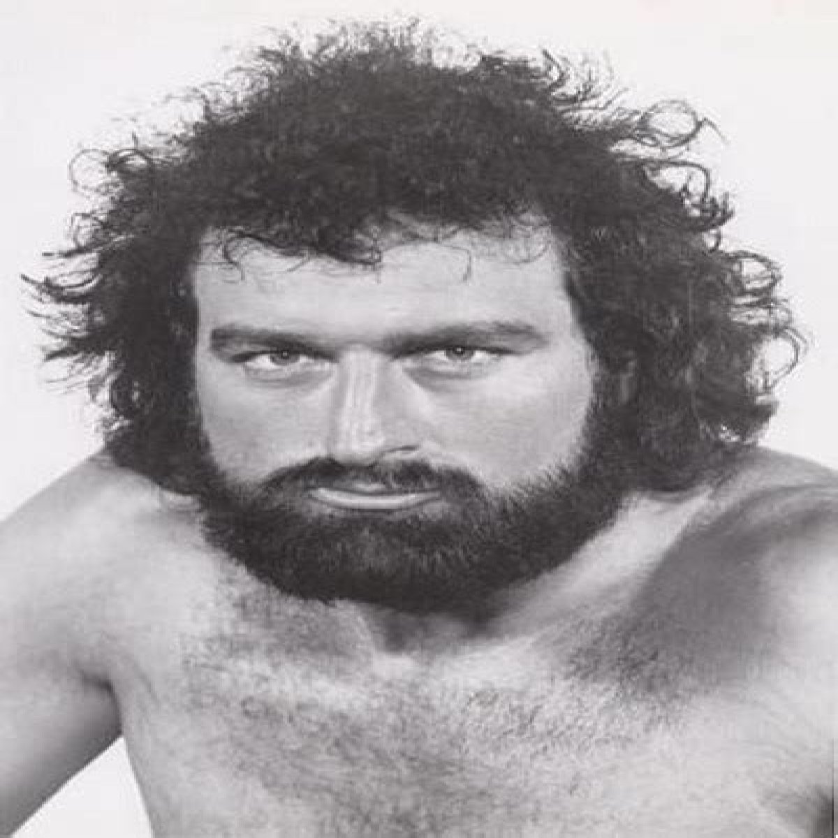 John Matuszak Net Worth, Income, Salary, Earnings, Biography