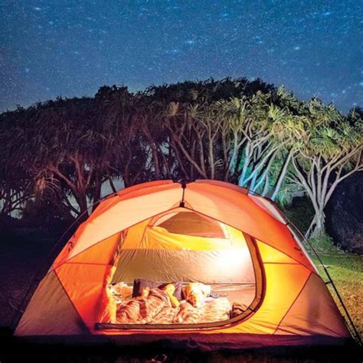Kipahulu Campground in Haleakala National Park to reopen March 16 with online reservations | News, Sports, Jobs