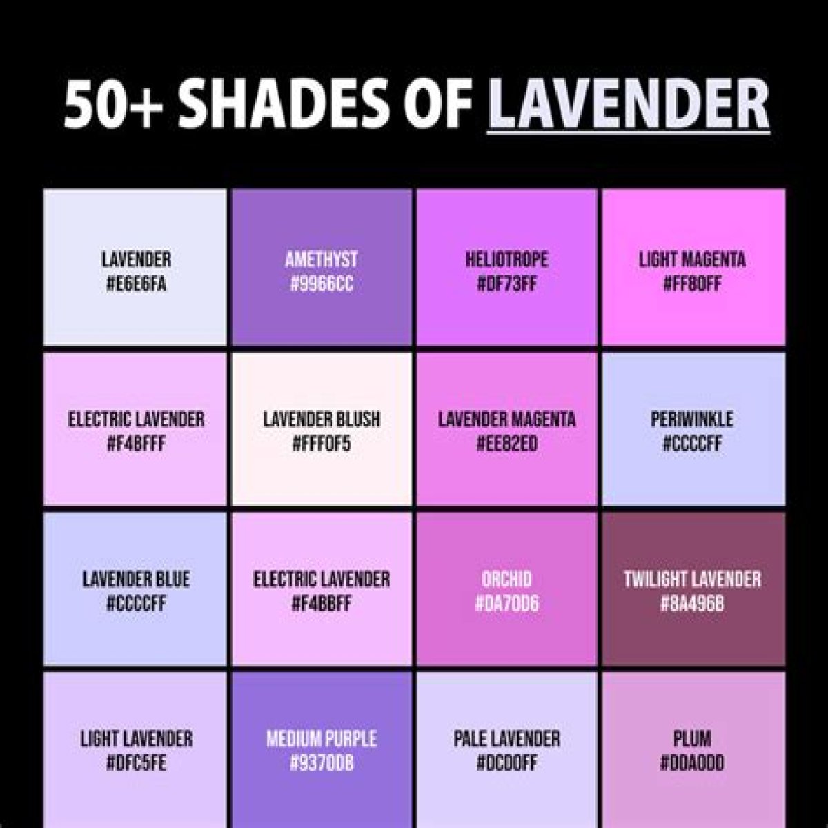 Lavender Color - Understanding All the Different Shades of Lavender