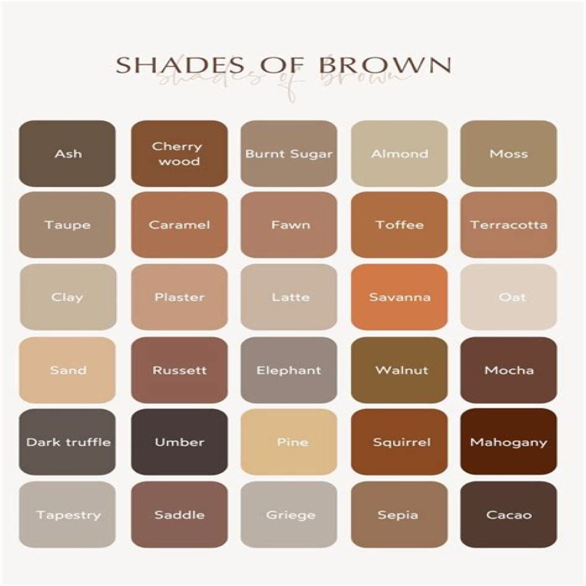 Shades of Brown - Exploring the Shades of the Brown Color Palette