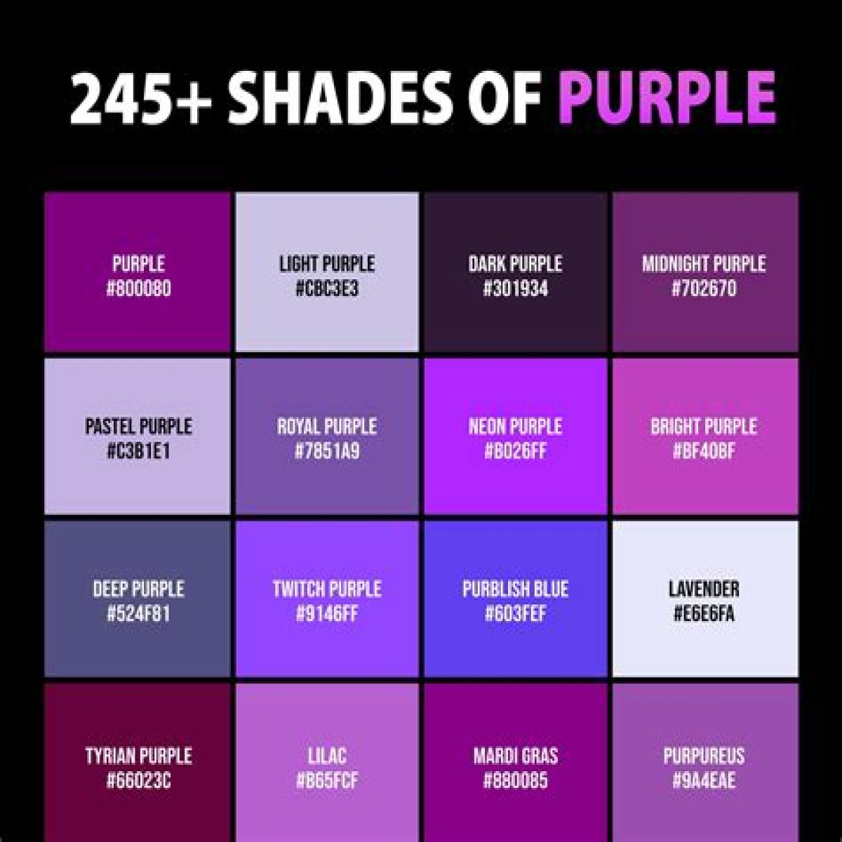 Shades of Purple - A Comprehensive Look at the Different Types of Purple