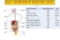 Why Our Body Needs this Essential Digestive Juice